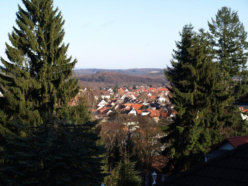 Hotel-Pension Ursula Bad Sachsa Buitenkant foto